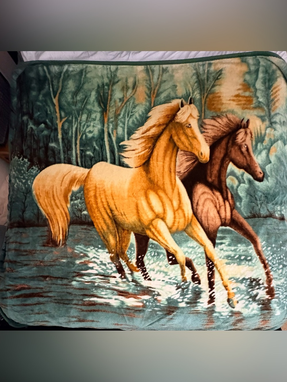 VTG San Marcos Style Running Horses Reversible Acrylic Mink Fleece
Cobija Queen